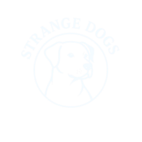 Strange Dogs Behavior and Training, Austin, TX