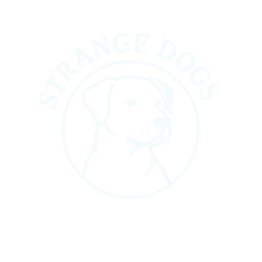 Strange Dogs Behavior and Training, Austin, TX